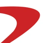 Capital One Platinum logo